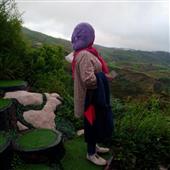 bầ