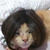 On