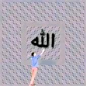 Gi