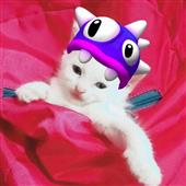 LÔ