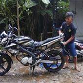 Bố