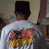Dã