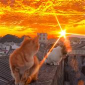 ĐƯ