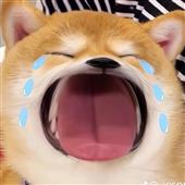 Kh