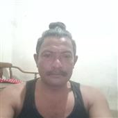Cá