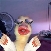 Cu
