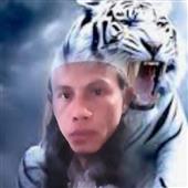 Gậ