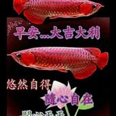 Lị