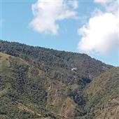 St