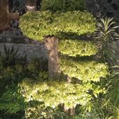 Th