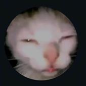 Và