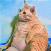 An