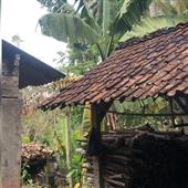 Bắ
