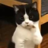 Tê