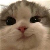 Mi