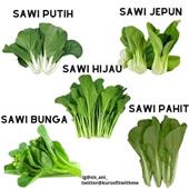 Sò