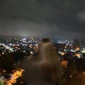 Đổ