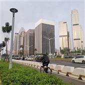 Lị