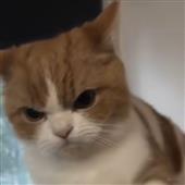 In