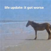 Hư