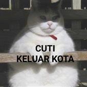 Cu