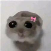 We