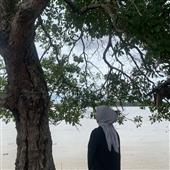 Đồ