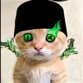 Ng