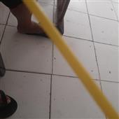 Dò