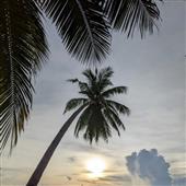Độ