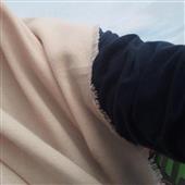Bl