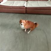 Be