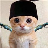 Tr