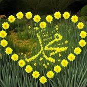 Hò