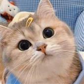 TH