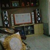 Tr