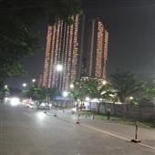 Cá