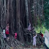Dự