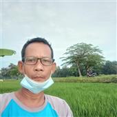 Nổ