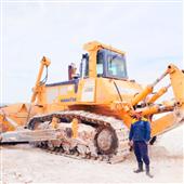 Dự