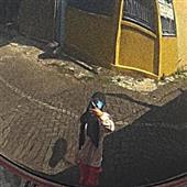 gi