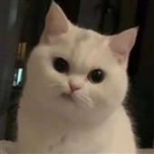 Tr
