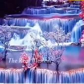 Tỷ