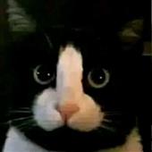Ba