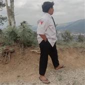 Tỷ