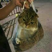 Be