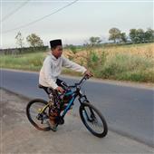 Bả