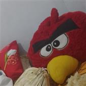 tr