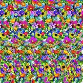 Cô