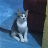 We